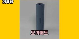 큐레이터 가주앙의 보물창고 • 15801 • 2024년 11월 15일 14