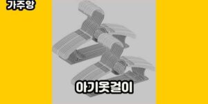 큐레이터 가주앙의 보물창고 • 15705 • 2024년 11월 15일 1