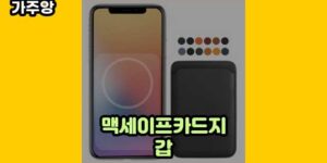 큐레이터 가주앙의 보물창고 • 16061 • 2024년 11월 17일 17