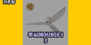 큐레이터 가주앙의 보물창고 • 15832 • 2024년 11월 15일 1