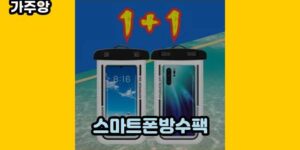 큐레이터 가주앙의 보물창고 • 15895 • 2024년 11월 17일 167