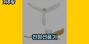 큐레이터 가주앙의 보물창고 • 15927 • 2024년 11월 17일 45