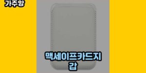 큐레이터 가주앙의 보물창고 • 16065 • 2024년 11월 17일 17