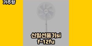 큐레이터 가주앙의 보물창고 • 16168 • 2024년 11월 16일 1