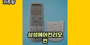 큐레이터 가주앙의 보물창고 • 16254 • 2024년 11월 15일 1