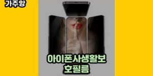 큐레이터 가주앙의 보물창고 • 16573 • 2024년 09월 20일 35