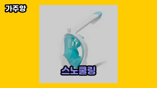 스노쿨링 가격대 12,500원 ~ 27,500원 추천 베스트 6