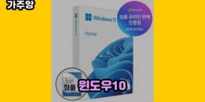 큐레이터 가주앙의 보물창고 • 16867 • 2024년 11월 10일 45