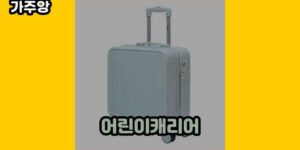 큐레이터 가주앙의 보물창고 • 17036 • 2024년 11월 21일 128