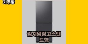 큐레이터 가주앙의 보물창고 • 17036 • 2024년 11월 21일 80